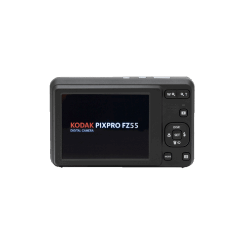 Kodak PixPro FZ55 Digitalkamera silber 4