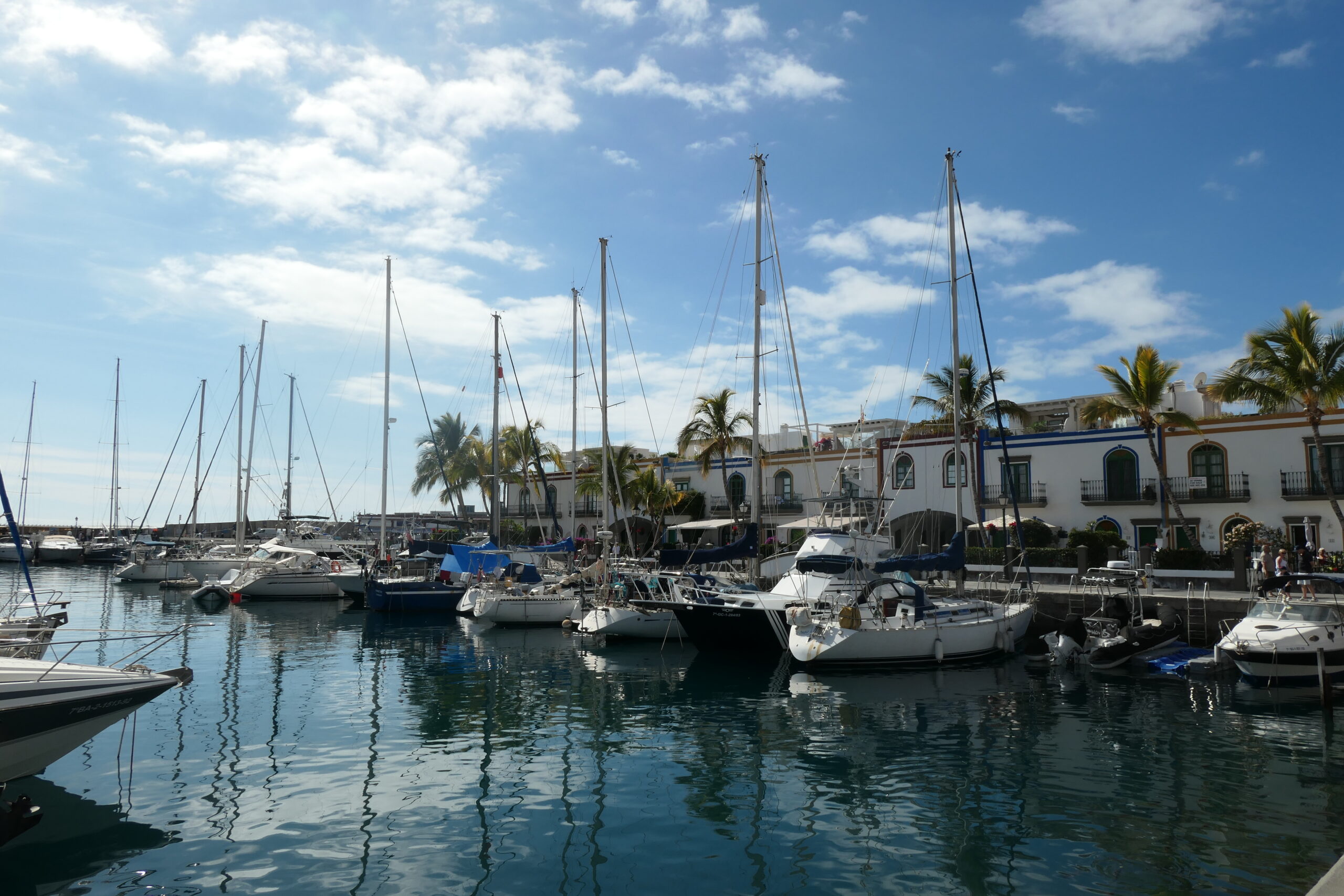 lumix-DC-TZ300-sampleimage-TP1000155