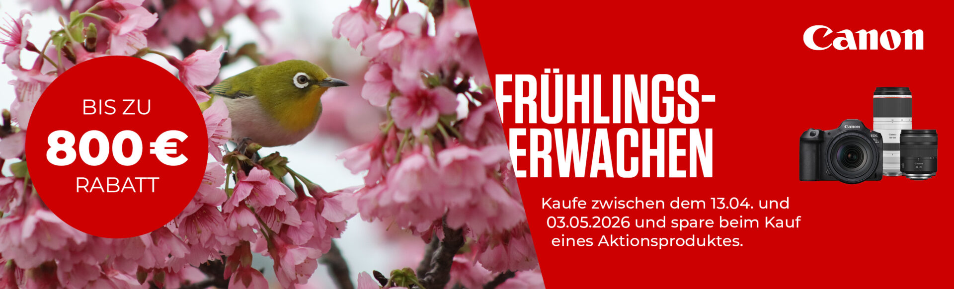 CAN_Frühlingserwachen_Banner1920x582
