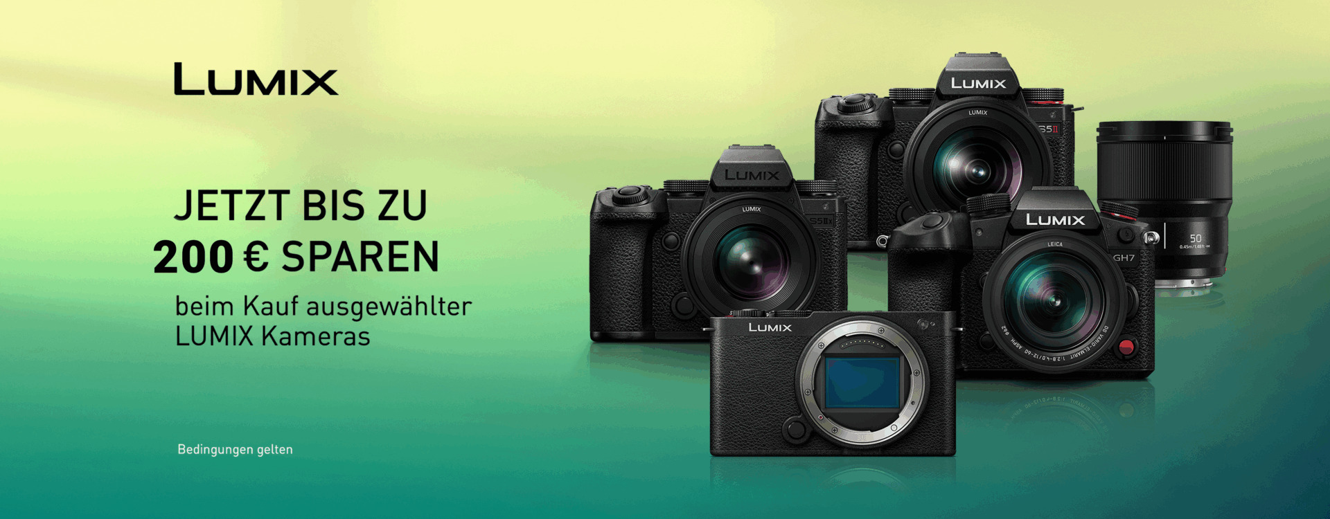 LUMIX DEALER Spring Inst Rebate 3000x117