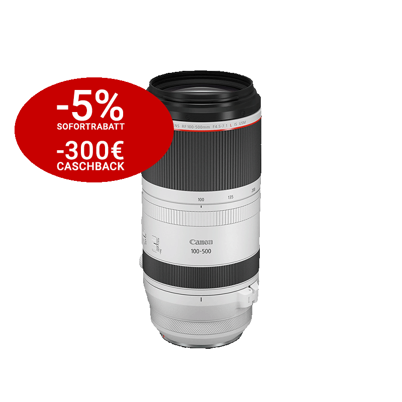 canon100-500