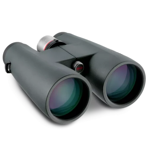 Kowa BD 10x56 XD – Ansicht 2