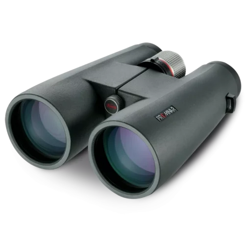 Kowa BD 8x56 XD – Hauptbild