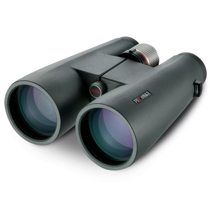 Kowa BD 8x56 XD – Hauptbild Kowa BD 8x56 XD – Hauptbild