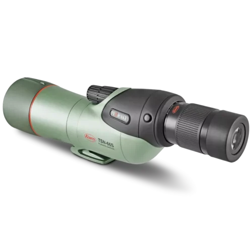 Kowa TSN-66S PROMINAR Geradeinblick 25-60x Zoom Set – Ansicht 3 Kowa TSN-66S PROMINAR Geradeinblick 25-60x Zoom Set – Ansicht 3
